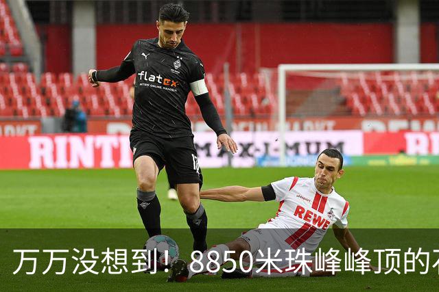 万万没想到！8850米珠峰峰顶的石头，竟来自4亿年前的海底！