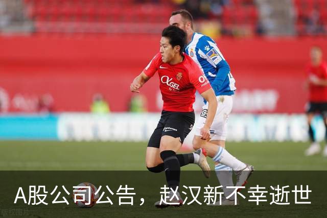 A股公司公告，赵汉新不幸逝世